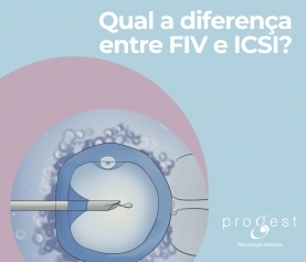 Qual a diferença entre FIV e ICSI?