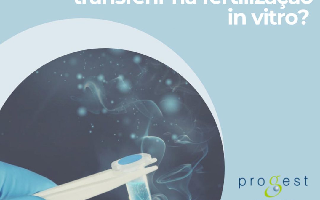Quantos embriões posso transferir na fertilização in vitro?