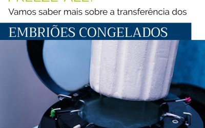 Conhece a técnica Freeze-all?