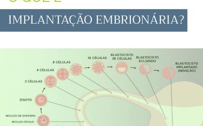 O que é a implantação embrionária?