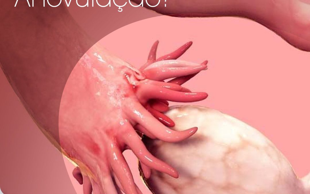 O que é anovolução?