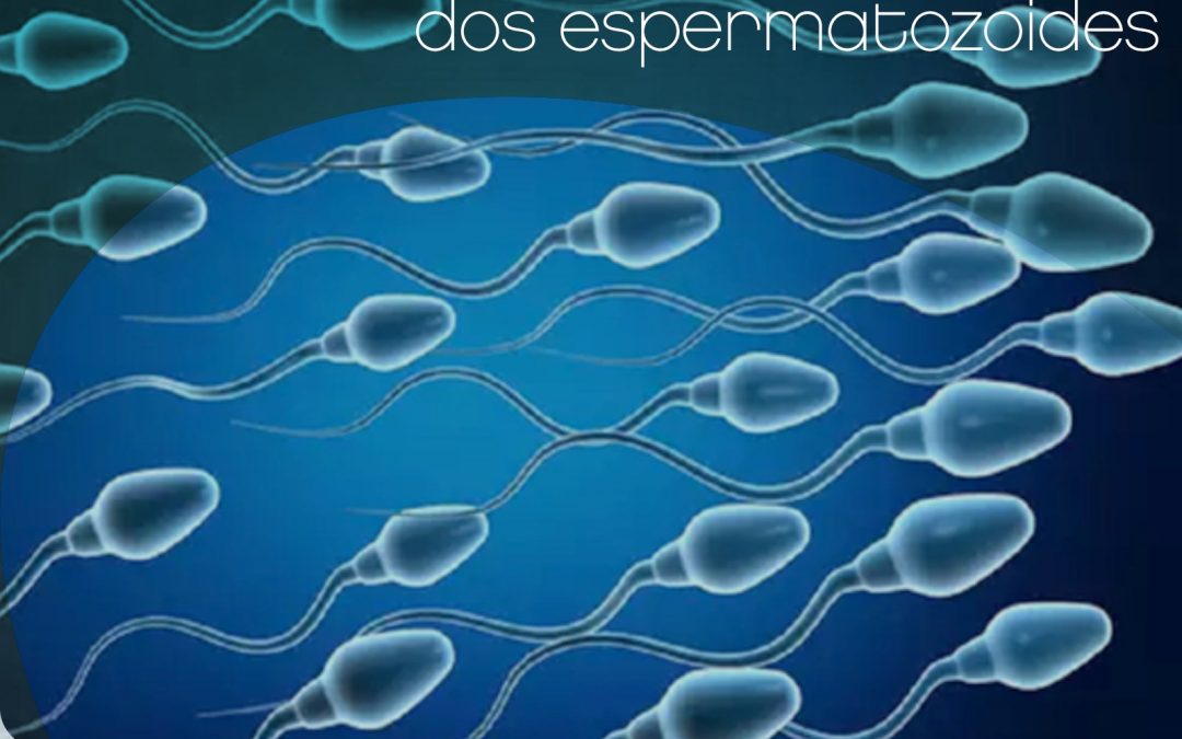 Queda na contagem de espermatozoides