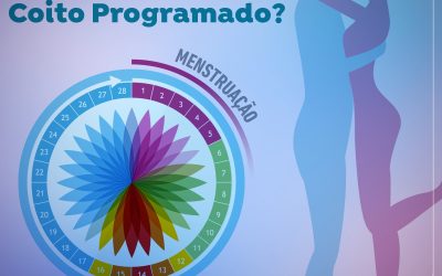 Será que consigo engravidar com o Coito Programado?