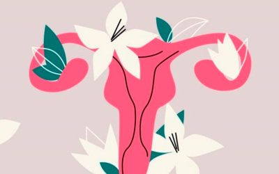4 causas da infertilidade feminina