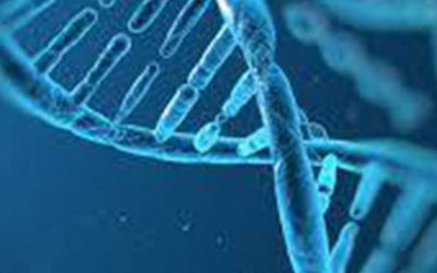 Saiba mais sobre o Teste de Fragmentação do DNA Espermático!