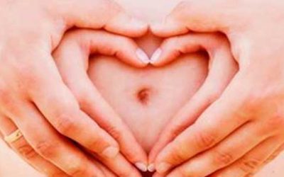 PROGRAMA DE FERTILIZAÇÃO PARA CASAIS DE BAIXA RENDA