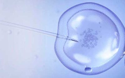 Fertilização in vitro e Inseminação artificial – qual a diferença?